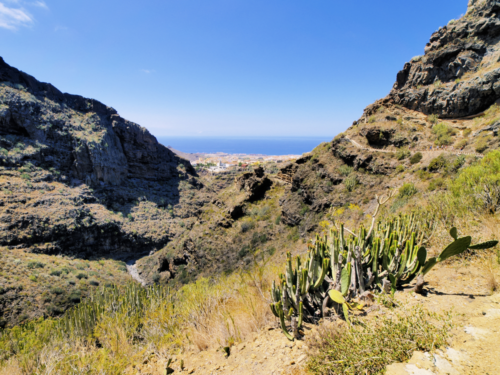 7 fantastiske ferieoplevelser på Tenerife