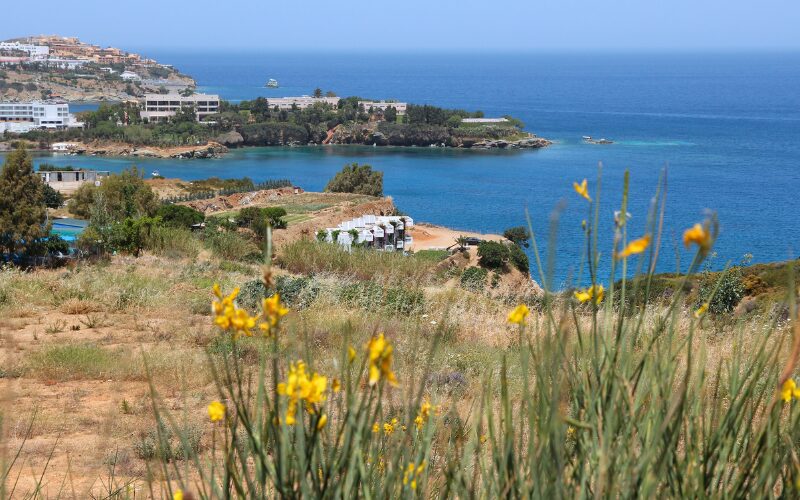 Opdag de smukkeste strande i Agia Pelagia på Kreta