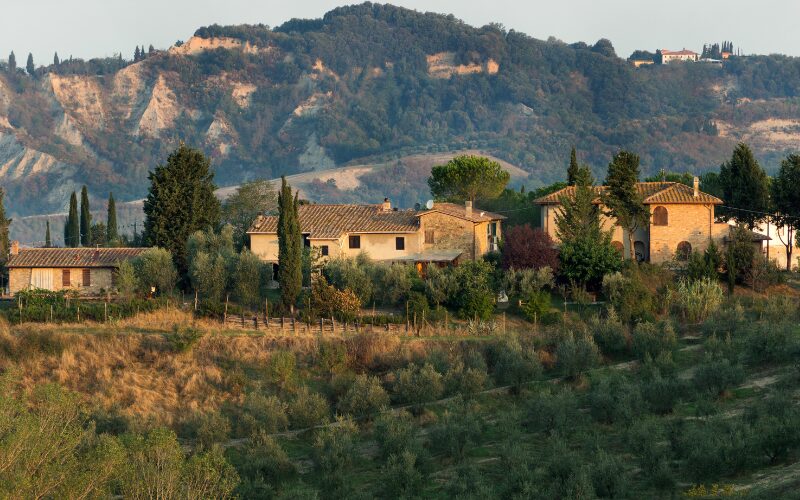 Besøg en olivenfarm og tag en græsk vin med hjem